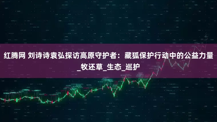 红腾网 刘诗诗袁弘探访高原守护者：藏狐保护行动中的公益力量_牧还草_生态_巡护