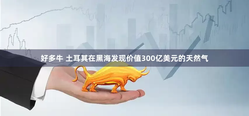 好多牛 土耳其在黑海发现价值300亿美元的天然气