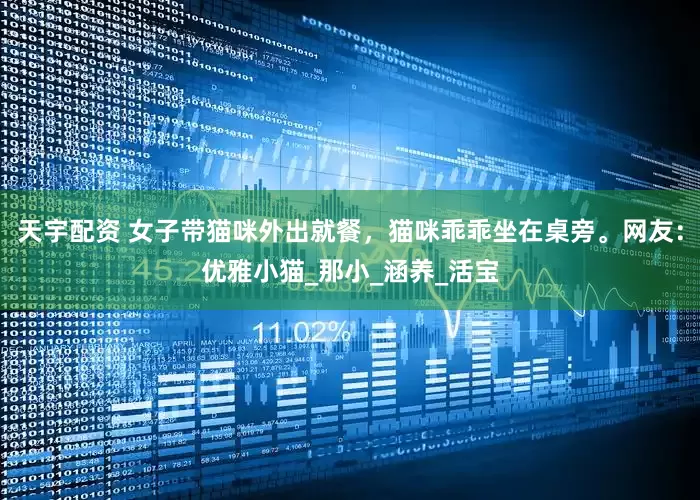 天宇配资 女子带猫咪外出就餐，猫咪乖乖坐在桌旁。网友：优雅小猫_那小_涵养_活宝